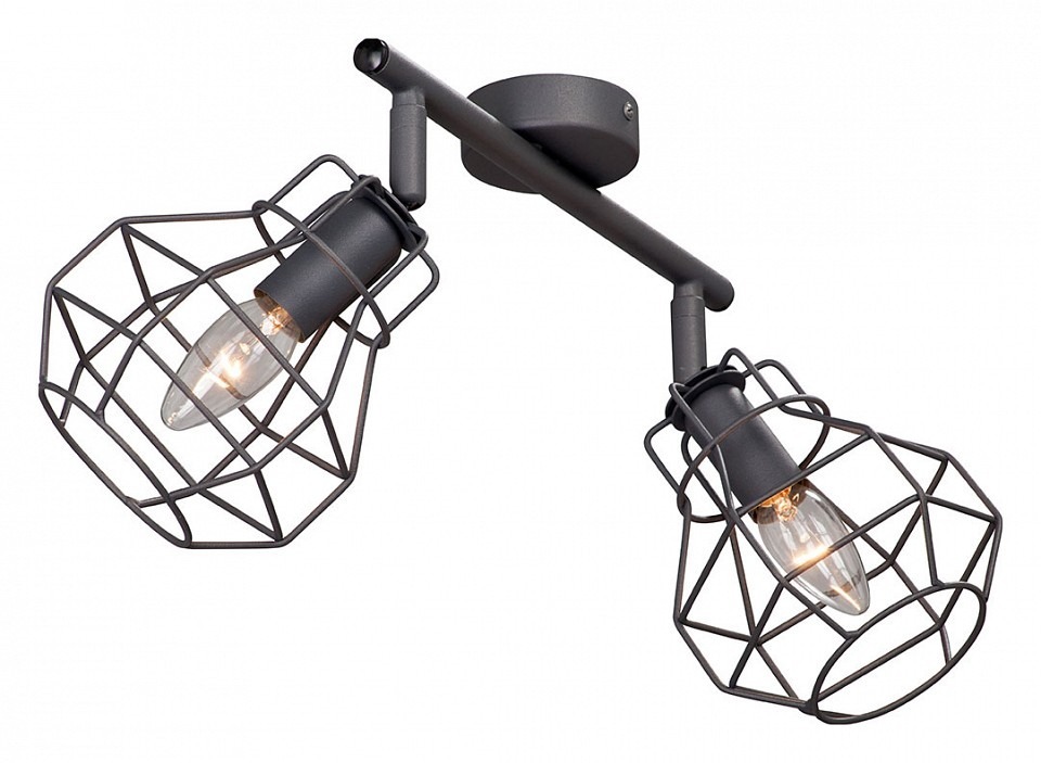 Фото Спот Vitaluce V4883 V4883-2/2PL VI_V4883-2_2PL - интернет-магазин МегаТерем в Москве