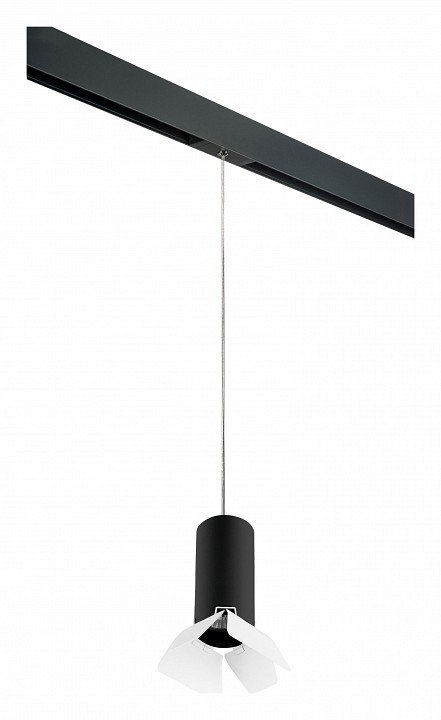 Фото Подвесной светильник Lightstar Rullo PRORP487436 LS_PRORP487436 - интернет-магазин МегаТерем в Москве