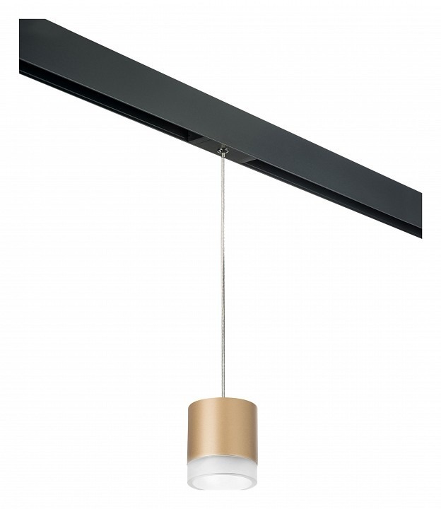 Фото Подвесной светильник Lightstar Rullo PRORP349080 LS_PRORP349080 - интернет-магазин МегаТерем в Москве