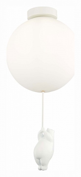 Фото Накладной светильник EVOLUCE Modena SLE115412-01 EVO_SLE115412-01 - интернет-магазин МегаТерем в Москве