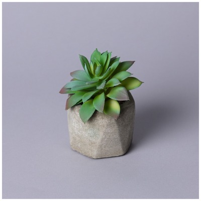 Суккулент искусственный в г...