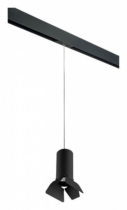 Фото Подвесной светильник Lightstar Rullo PRORP487437 LS_PRORP487437 - интернет-магазин МегаТерем в Москве