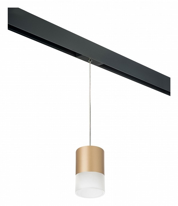 Фото Подвесной светильник Lightstar Rullo PRORP349081 LS_PRORP349081 - интернет-магазин МегаТерем в Москве