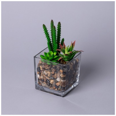 Суккулент искусственный в п...