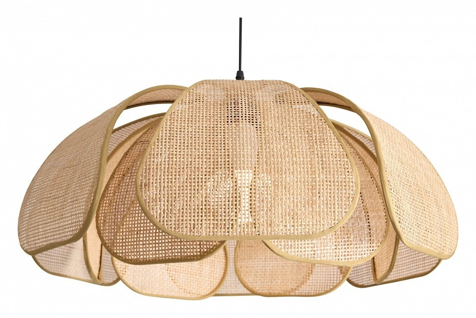 Фото Подвесной светильник Freya Cocoon FR5529PL-01B MY_FR5529PL-01B - интернет-магазин МегаТерем в Москве