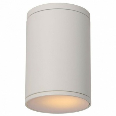 Накладной светильник Lucide Tubix 27870/01/31 LCD_27870_01_31