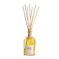 Диффузор ароматический the olphactory, radiant, spiced tangerine, 100 мл (78005)
