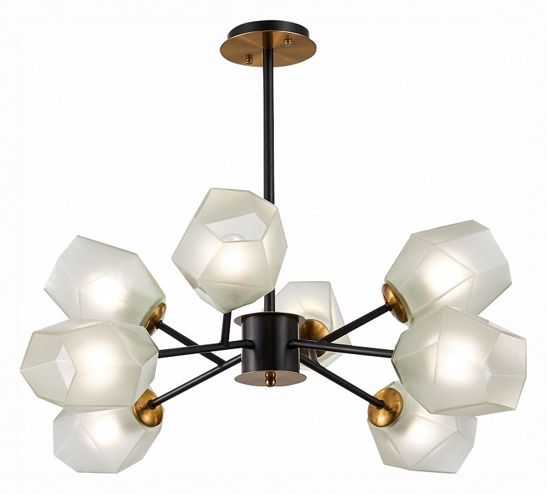 Фото Люстра на штанге EVOLUCE Terramo SLE205102-08 EVO_SLE205102-08 - интернет-магазин МегаТерем в Москве