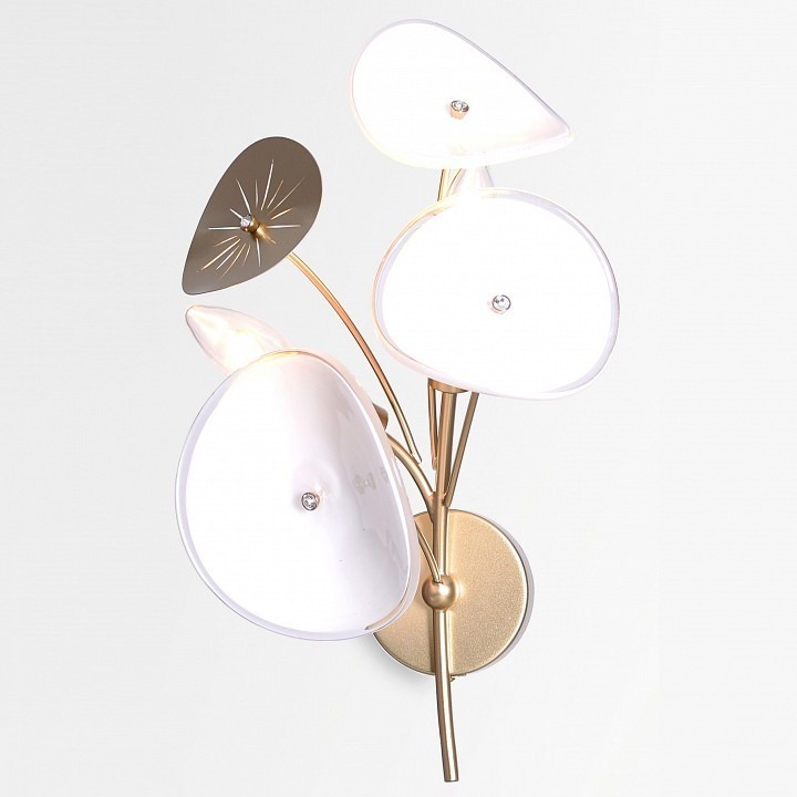 Фото Бра Rivoli Albertina Б0068090 RVL_B0068090 - интернет-магазин МегаТерем в Москве