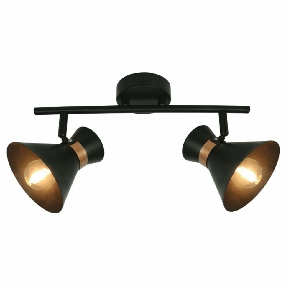 Фото Спот Arte Lamp Baltimore A1406AP-2BK AR_A1406AP-2BK - интернет-магазин МегаТерем в Москве