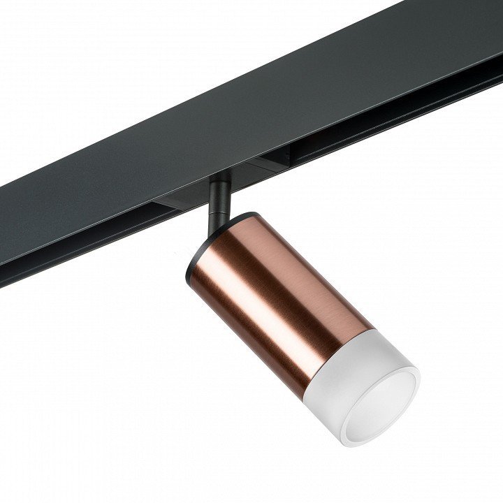 Фото Светильник на штанге Lightstar Rullo PRO43031 LS_PRO43031 - интернет-магазин МегаТерем в Москве