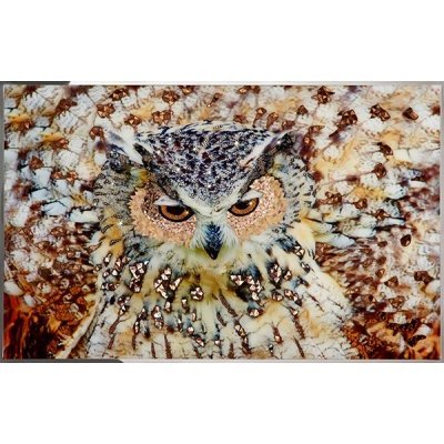 Картина Сова с кристаллами ...