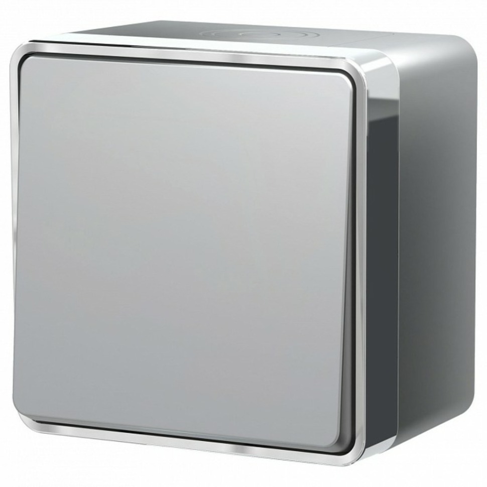 Фото Выключатель одноклавишный влагозащищенный Werkel Gallant (серебряный) W5010206 WRK_a052767 - интернет-магазин МегаТерем в Москве