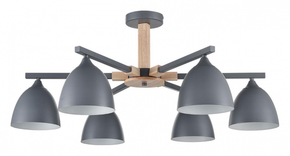 Фото Люстра на штанге Lumion Colange 8096/6C LMN_8096_6C - интернет-магазин МегаТерем в Москве