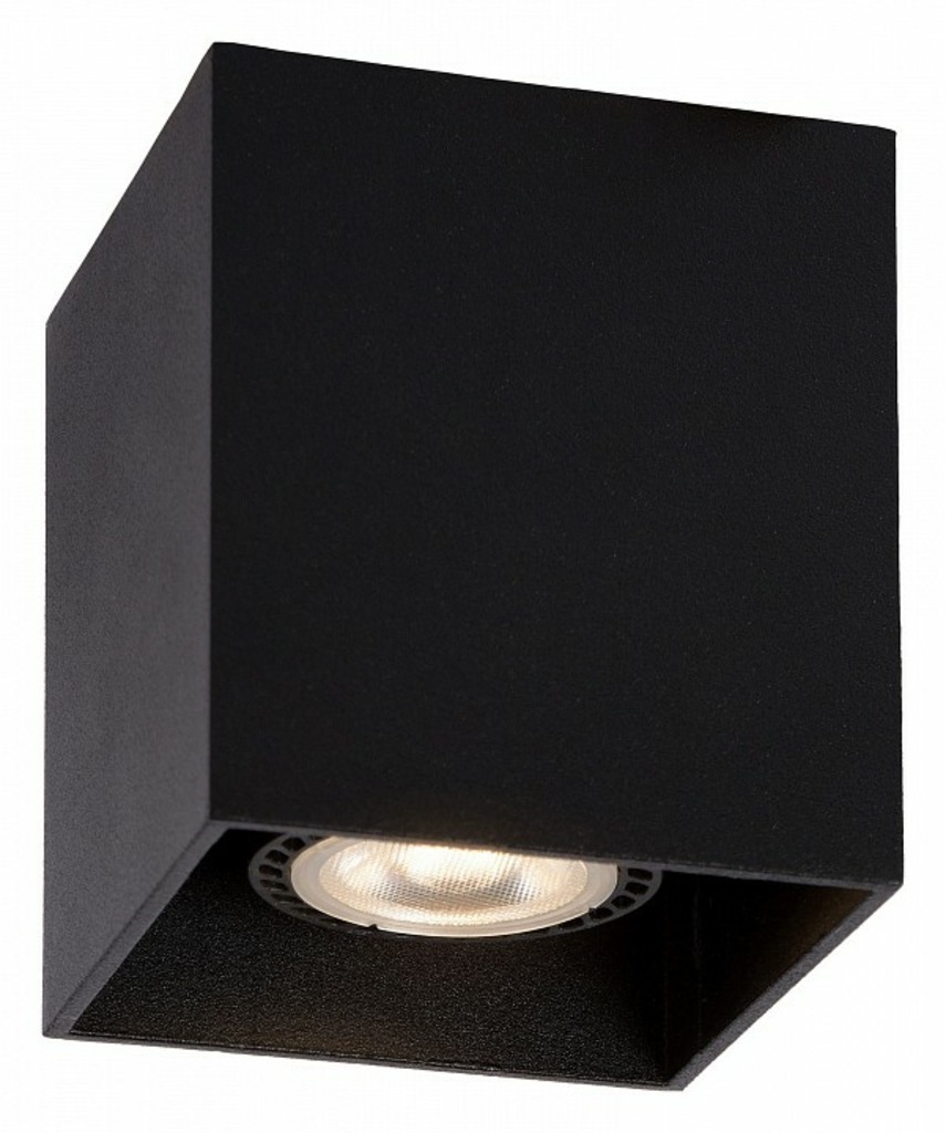 Фото Накладной светильник Lucide Bodi 09101/01/30 LCD_09101_01_30 - интернет-магазин МегаТерем в Москве