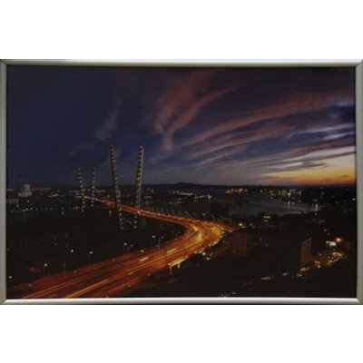 Картина Владивостокские мос...