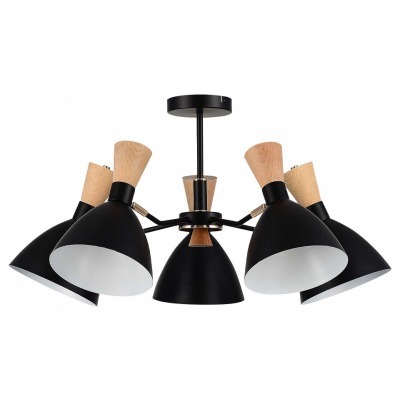 Люстра на штанге EVOLUCE VISTA SLE1256-402-05 EVO_SLE1256-402-05