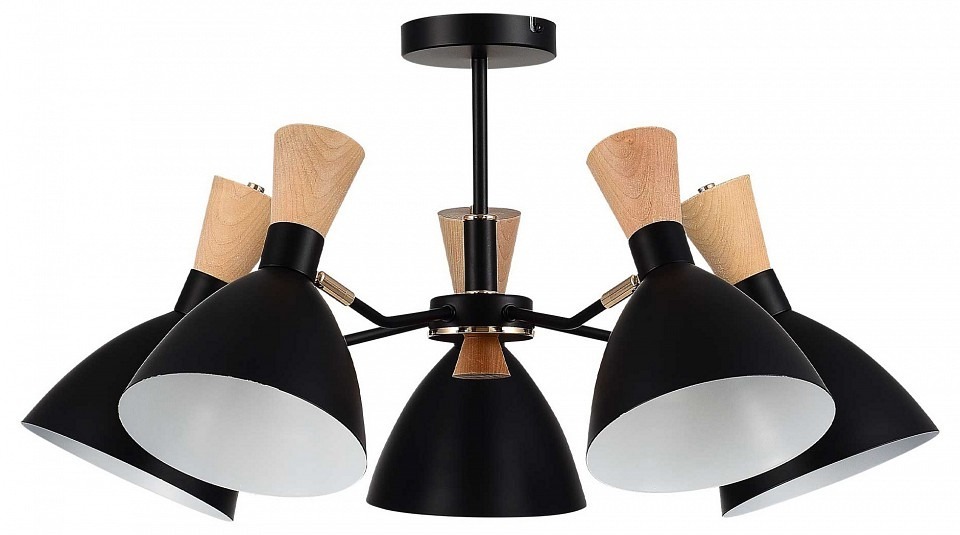 Фото Люстра на штанге EVOLUCE VISTA SLE1256-402-05 EVO_SLE1256-402-05 - интернет-магазин МегаТерем в Москве