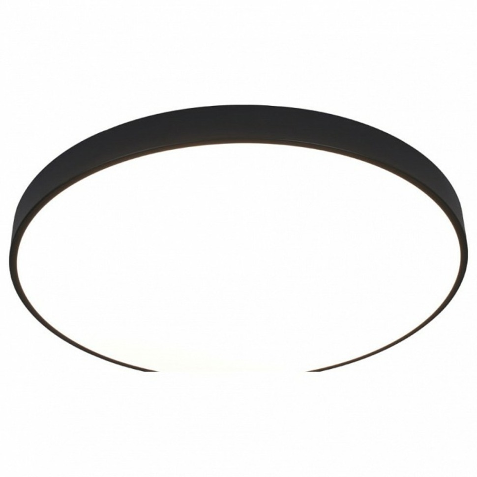 Фото Накладной светильник Arte Lamp Arena A2673PL-1BK AR_A2673PL-1BK - интернет-магазин МегаТерем в Москве