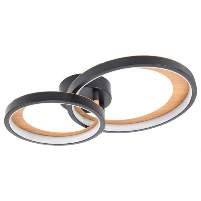 Накладной светильник Escada Callisto 10265/2LED ESC_10265_2LED