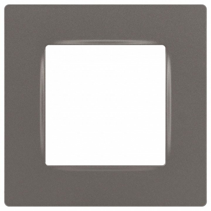 Фото Рамка на 1 пост Эра Эра 12 12-5201-16 ER_B0067778 - интернет-магазин МегаТерем в Москве