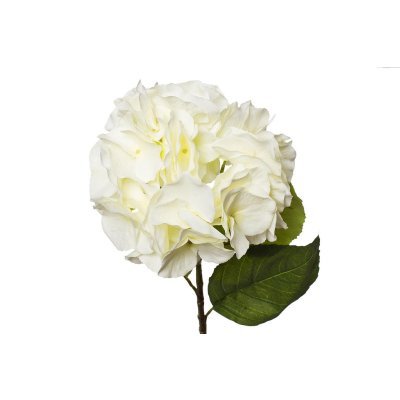 Гортензия белая 62см (12) (...