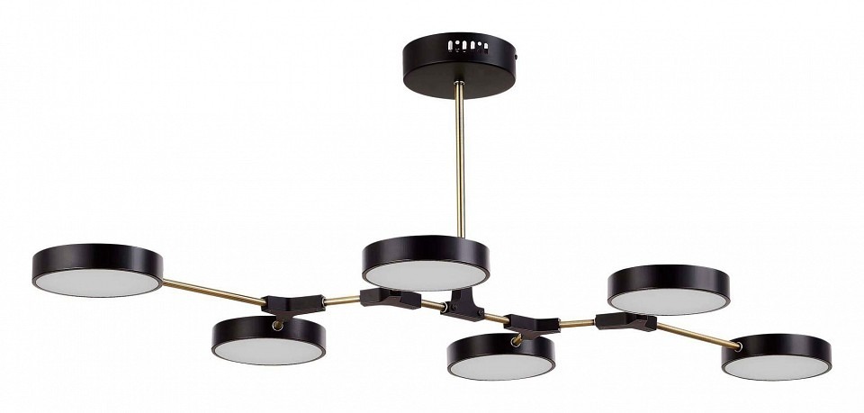 Фото Люстра на штанге EVOLUCE Monta SLE6004-402-06 EVO_SLE6004-402-06 - интернет-магазин МегаТерем в Москве