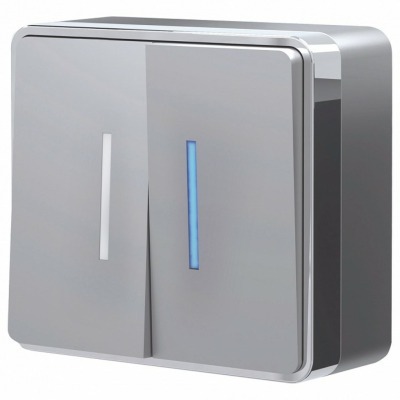 Выключатель двухклавишный с...