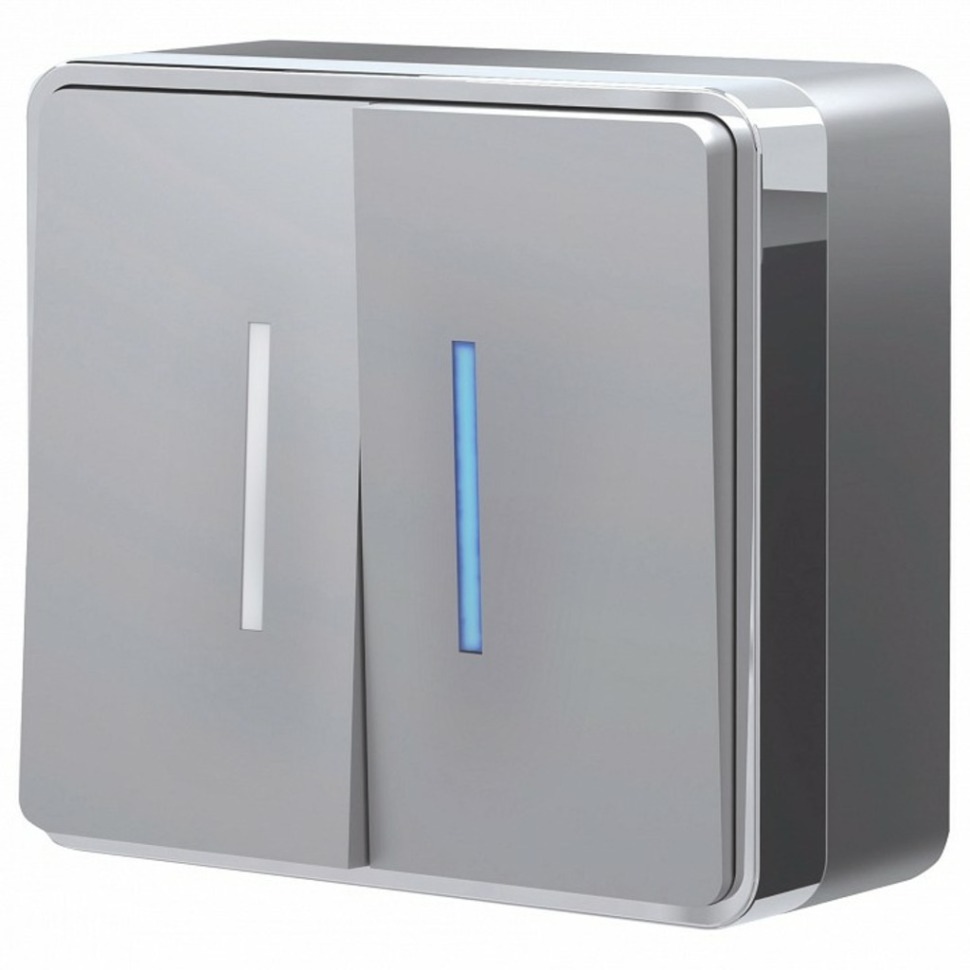 Фото Выключатель двухклавишный с подсветкой Werkel Gallant (серебряный) W5020106 WRK_a052770 - интернет-магазин МегаТерем в Москве