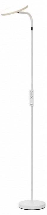 Фото Торшер Citilux SOLO CL804060 - интернет-магазин МегаТерем в Москве