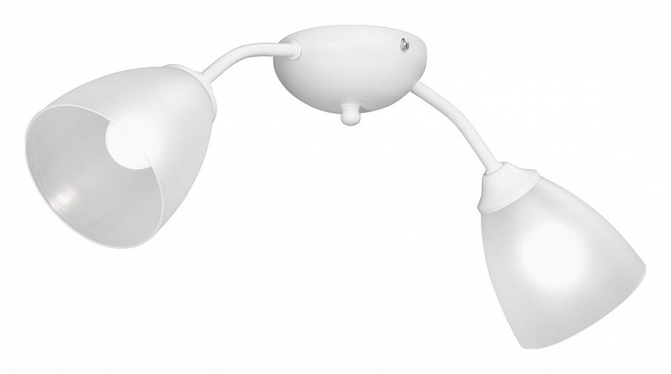 Фото Накладной светильник Vitaluce V3184 V3737-0/2PL VI_V3737-0_2PL - интернет-магазин МегаТерем в Москве