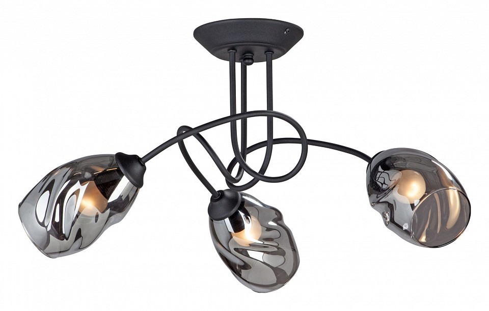 Фото Люстра на штанге Vitaluce 4939 V4939-1/3PL VI_V4939-1_3PL - интернет-магазин МегаТерем в Москве
