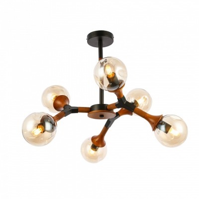 Люстра на штанге EVOLUCE Ra...