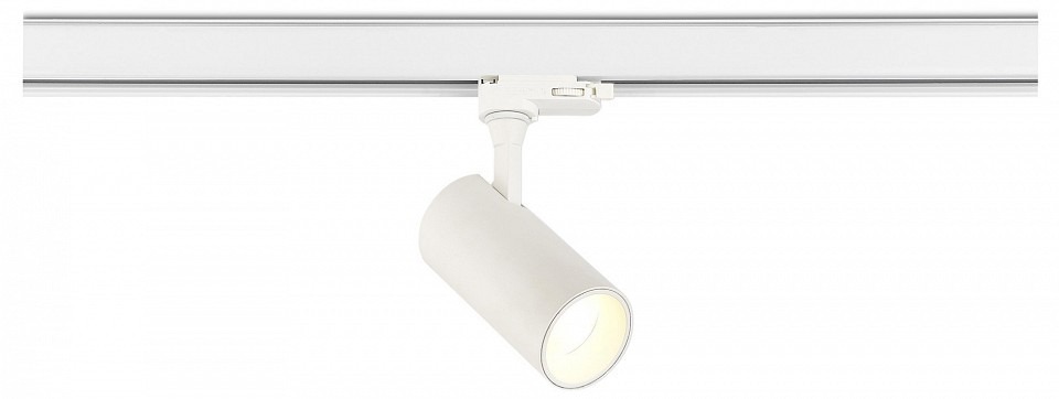 Фото Светильник на штанге ST-Luce ST383 ST383.596.20 - интернет-магазин МегаТерем в Москве