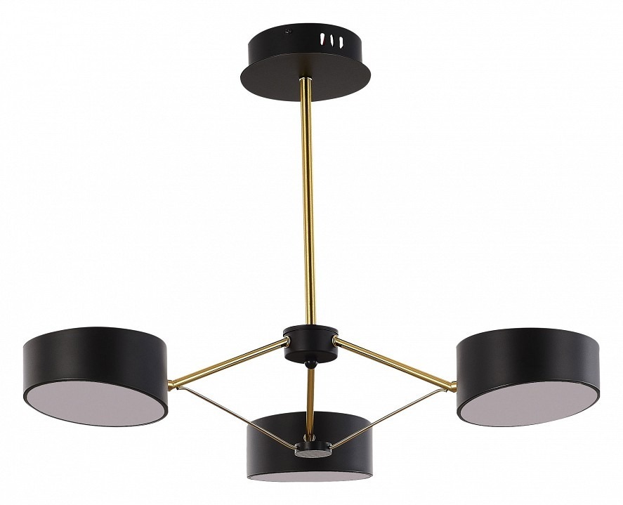 Фото Люстра на штанге EVOLUCE Valle SLE6005-402-03 EVO_SLE6005-402-03 - интернет-магазин МегаТерем в Москве