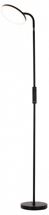 Фото Торшер Citilux SOLO CL804061 - интернет-магазин МегаТерем в Москве