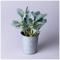 Композиция декоративная "каланхое" высота=23 см Lefard (287-558)