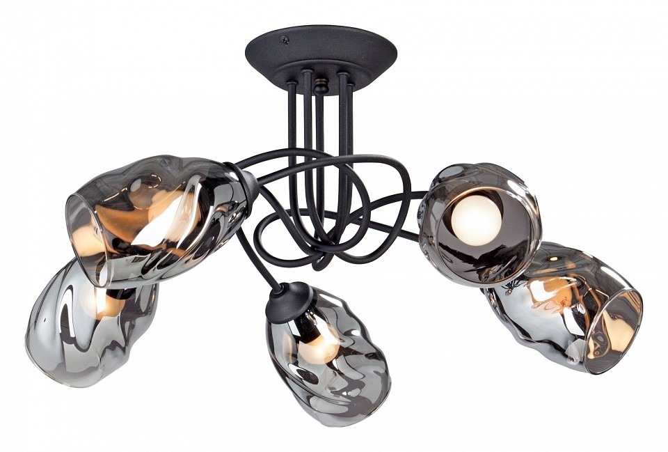 Фото Люстра на штанге Vitaluce 4939 V4939-1/5PL VI_V4939-1_5PL - интернет-магазин МегаТерем в Москве