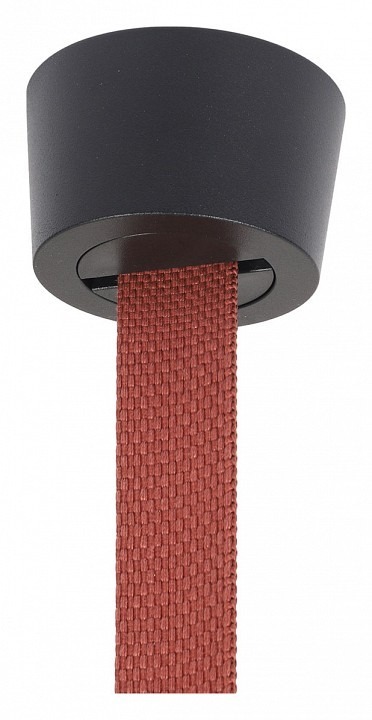 Фото Основание для трека-ремня Denkirs BELTY BASE TR5512-BK DK_TR5512-BK - интернет-магазин МегаТерем в Москве