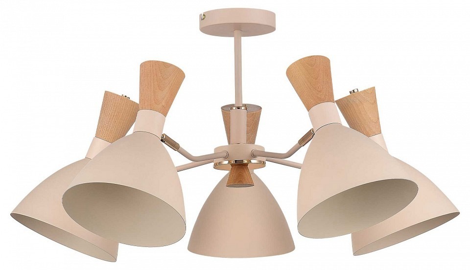 Фото Люстра на штанге EVOLUCE VISTA SLE1256-502-05 EVO_SLE1256-502-05 - интернет-магазин МегаТерем в Москве