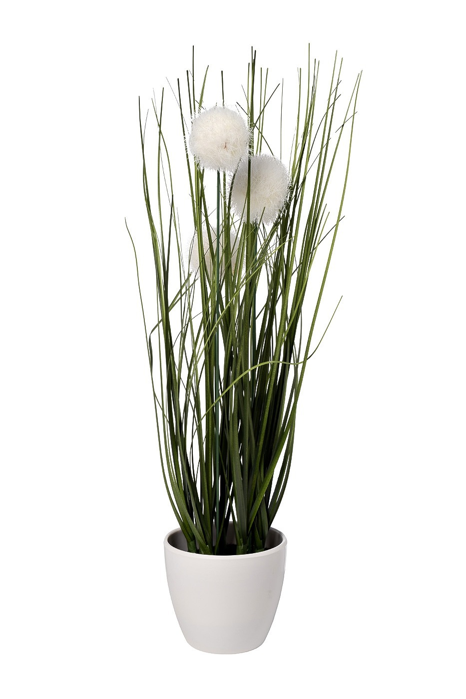 Фото Алиум белый в горшке H38см(12) (TT-00010691) - интернет-магазин МегаТерем в Москве