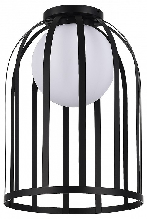 Фото Накладной светильник ST-Luce Nordic SL6129.402.01 - интернет-магазин МегаТерем в Москве