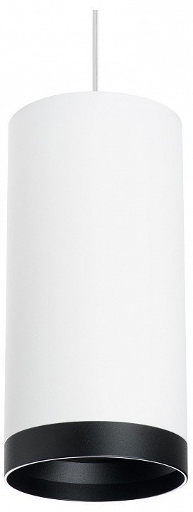 Фото Подвесной светильник Lightstar Rullo RP64863487 LS_RP64863487 - интернет-магазин МегаТерем в Москве