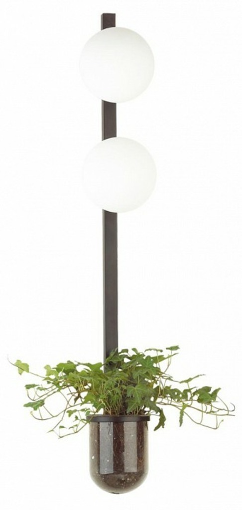 Фото Бра Odeon Light Flower 4681/2WA OD_4681_2WA - интернет-магазин МегаТерем в Москве