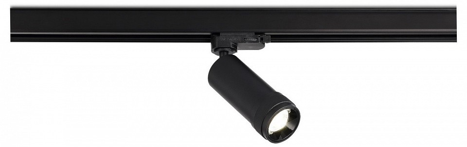 Фото Светильник на штанге ST-Luce ST691 ST691.436.10 - интернет-магазин МегаТерем в Москве