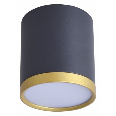 Накладной светильник Favourite Baral 3081-1C FV_3081-1C