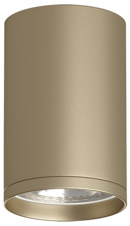 Фото Накладной светильник Denkirs TUBE DK2050-SG DK_DK2050-SG - интернет-магазин МегаТерем в Москве