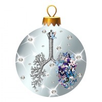 Новогодний шар По рецепту чуда с кристаллами Swarovski (2543)