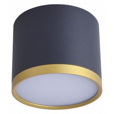 Накладной светильник Favourite Baral 3081-2C FV_3081-2C