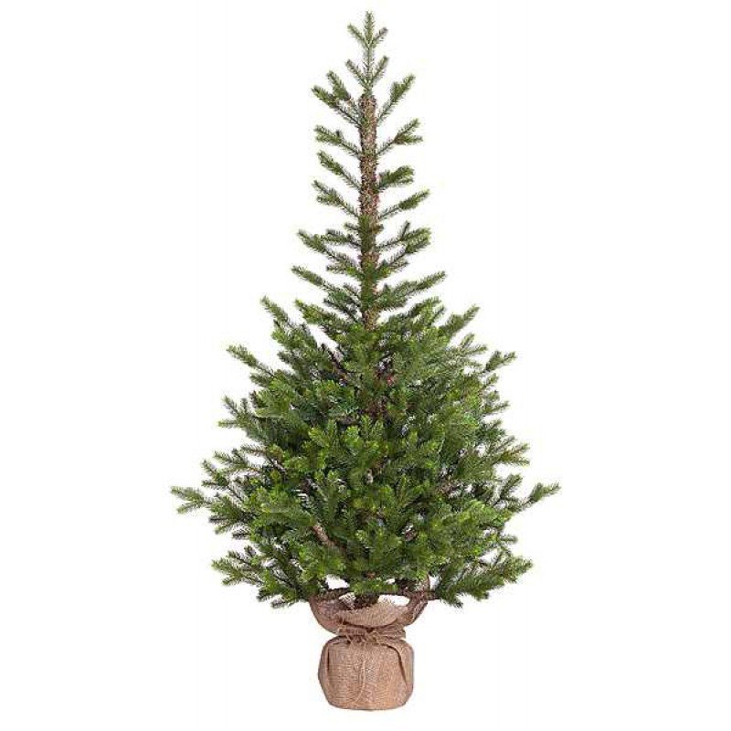 Фото Вв ель прованс 120 см в мешочке зеленая (74338)  - интернет-магазин МегаТерем в Москве